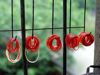 Close-up of red roses on metal