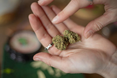 Girls hand holding a few nuggets of cannabis flower