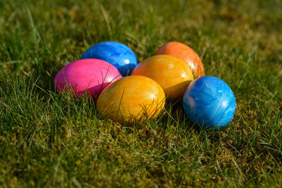Multi colored eggs on field