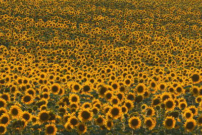 Full frame shot of abstract background