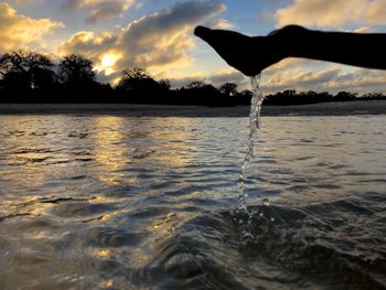 Silhouette tree by sea against sky during sunset