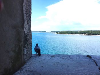 Rear view of people looking at sea against sky