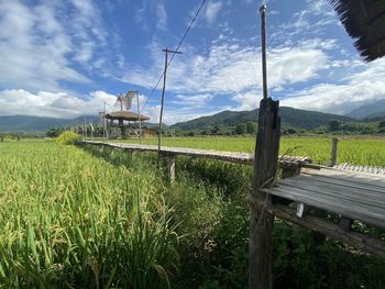 Scenic view of agricultural field against sky