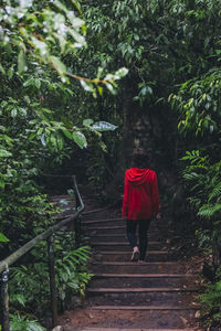 Rear view of woman walking on staircase in forest