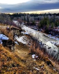 Scenic view of waterfall in forest against sky