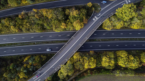 High angle view of bridge in forest