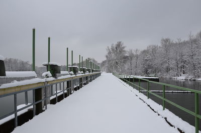 Snow covered railing by trees against sky