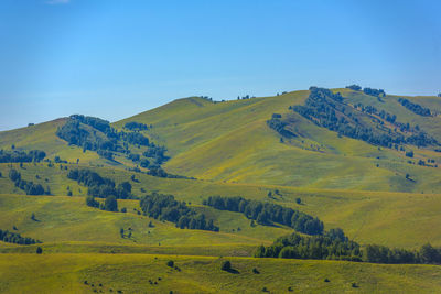 Scenic view of landscape against clear blue sky