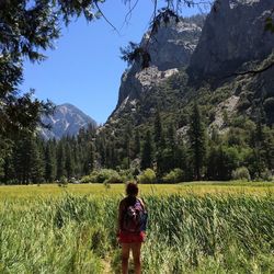 Hiker overlooking the mountains in kings canyon national park