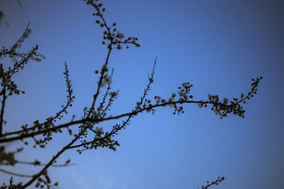 sky