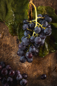 Close-up of grapes growing in vineyard