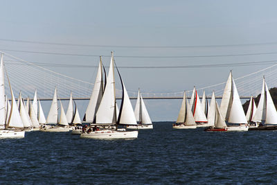 Sailing boats and yachts in bosporus cup in istanbul, turkey