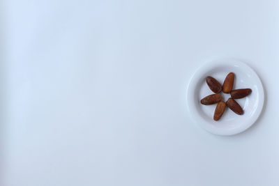 High angle view of food on white background