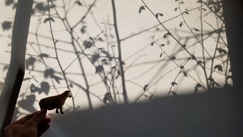View of two people in the dark