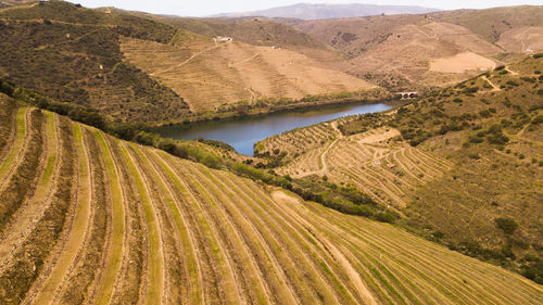 Scenic view of landscape against mountain in douro