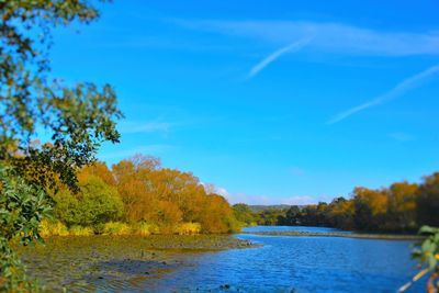 Scenic view of calm lake against blue sky