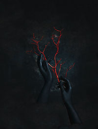 Digital composite image of painted hands holding twig