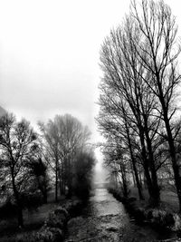 Road amidst trees against sky