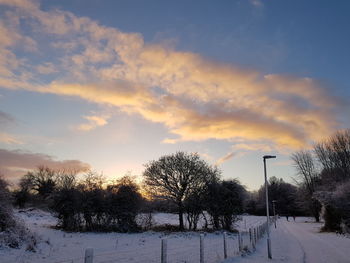 Trees on snow field against sky during sunset