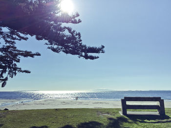 View of lone tree on calm beach