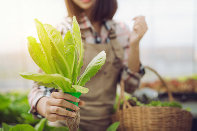 Midsection of woman holding plant