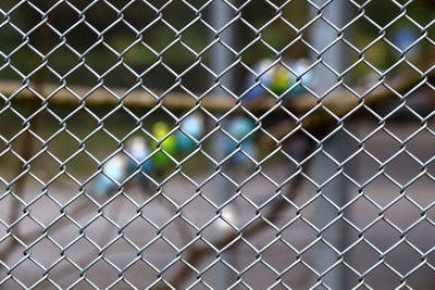 Full frame shot of chainlink fence