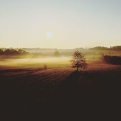 Scenic view of landscape at sunset