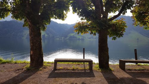 Park bench by lake against trees