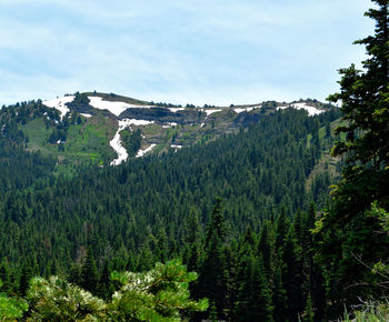 Scenic view of green landscape and mountains against sky