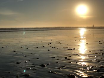 Scenic view of sea during sunset