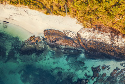 High angle view of birds in sea