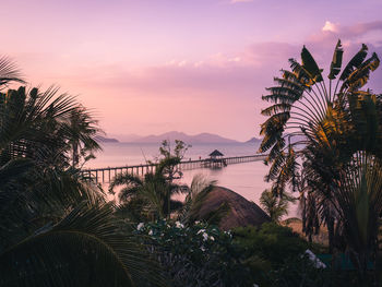 Scenic view of long wooden pier over sea water with sunset sky. koh mak island, trat, thailand.