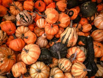 Full frame shot of pumpkins for sale at market