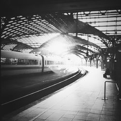 transportation