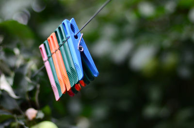 Close-up of multi colored flags hanging on clothesline