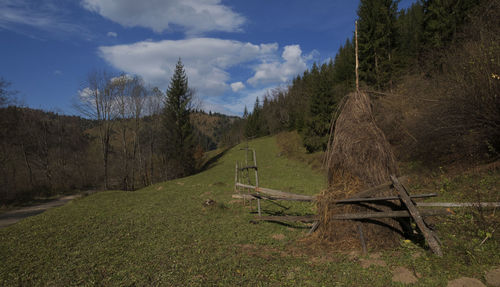 Panoramic shot of trees on field against sky