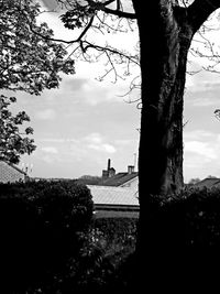 Tree trunk by historic building against sky