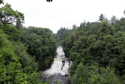 Scenic view of lush foliage