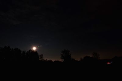 Low angle view of silhouette trees against sky at night