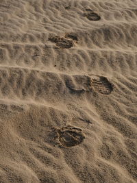 High angle view of footprints on sand at desert 