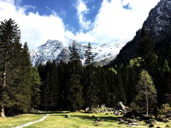 Scenic view of landscape against sky