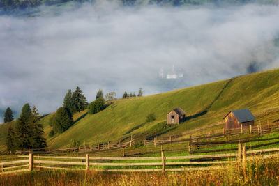 Scenic view of agricultural field against sky