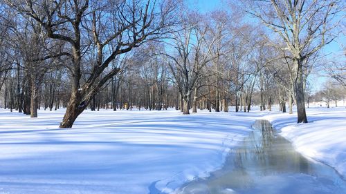 Scenic view of snow covered landscape