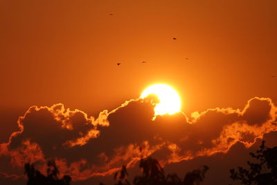 Low angle view of silhouette birds against sky during sunset