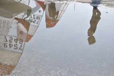 Reflection of trees in puddle