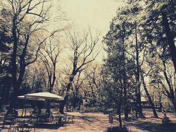 Trees in amusement park against sky