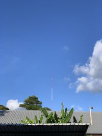 Low angle view of building against blue sky