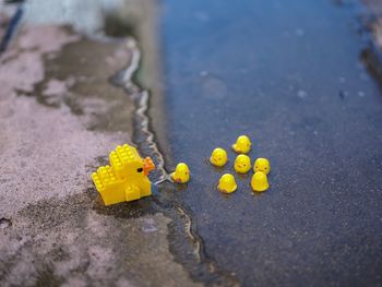 High angle view of rubber ducks in puddle