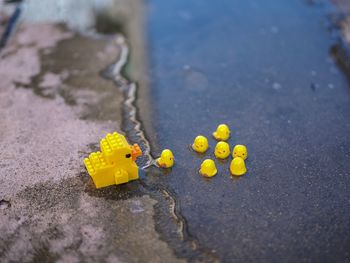 Close-up of yellow umbrella on road