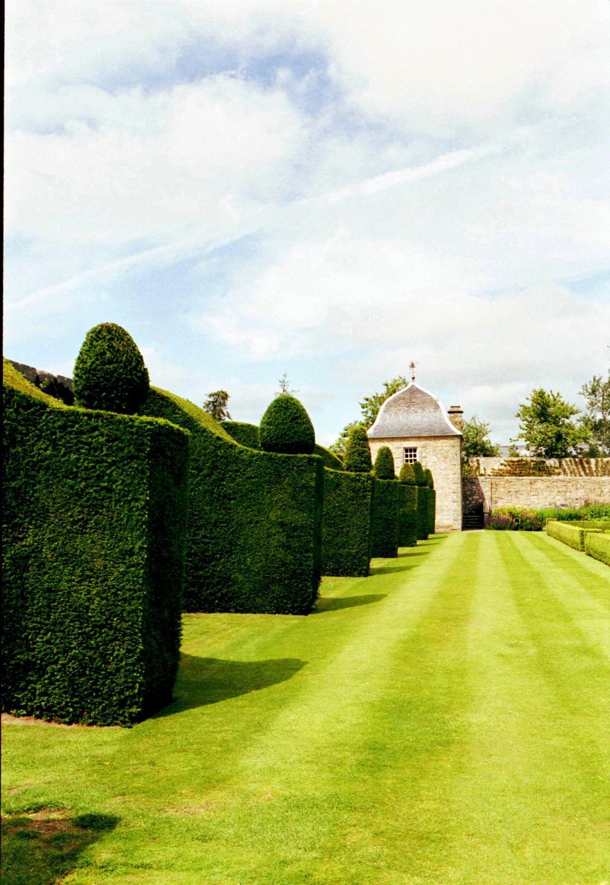 tree, sky, built structure, architecture, grass, cloud - sky, building exterior, green color, the way forward, history, religion, tranquility, cloud, travel destinations, nature, day, spirituality, outdoors, formal garden, footpath